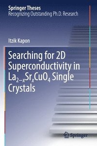 bokomslag Searching for 2D Superconductivity in La2xSrxCuO4 Single Crystals