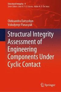 bokomslag Structural Integrity Assessment of Engineering Components Under Cyclic Contact