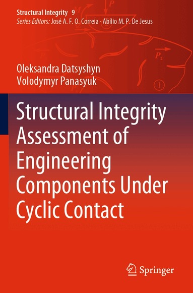 Oleksandra Datsyshyn, Volodymyr Panasyuk - Structural Integrity Assessment of Engineering Components Under Cyclic Contact, Häftad