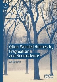 bokomslag Oliver Wendell Holmes Jr., Pragmatism and Neuroscience