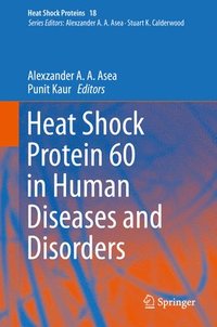 bokomslag Heat Shock Protein 60 in Human Diseases and Disorders