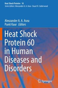 bokomslag Heat Shock Protein 60 in Human Diseases and Disorders