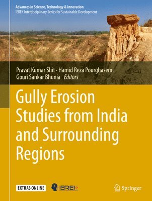 bokomslag Gully Erosion Studies from India and Surrounding Regions