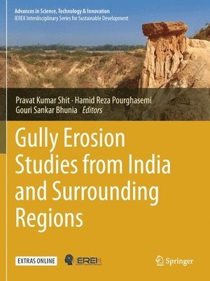 bokomslag Gully Erosion Studies from India and Surrounding Regions