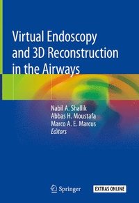 bokomslag Virtual Endoscopy and 3D Reconstruction in the Airways