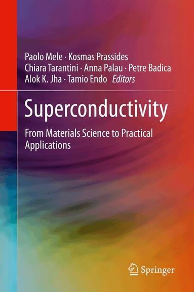 Paolo Mele, Kosmas Prassides, Chiara Tarantini, Anna Palau, Petre Badica, Alok K. Jha, Tamio Endo - Superconductivity, Inbunden
