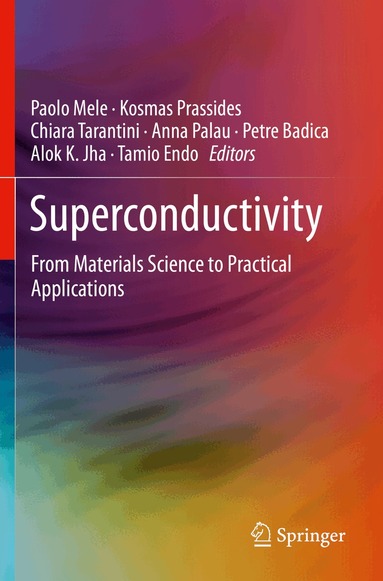 Paolo Mele, Kosmas Prassides, Chiara Tarantini, Anna Palau, Petre Badica, Alok K. Jha, Tamio Endo - Superconductivity, Häftad