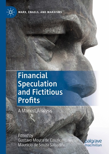 Gustavo Moura de Cavalcanti Mello, Mauricio de Souza Sabadini - Financial Speculation and Fictitious Profits, Häftad