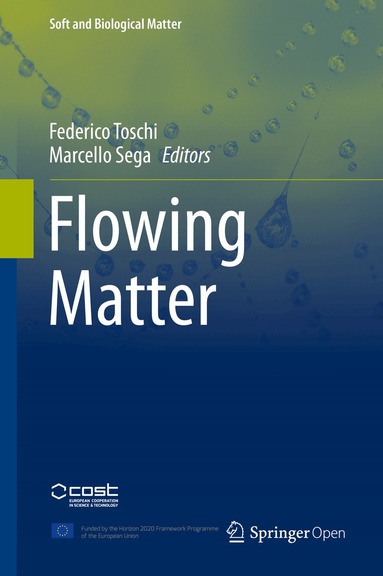 Federico Toschi, Marcello Sega - Flowing Matter, Inbunden