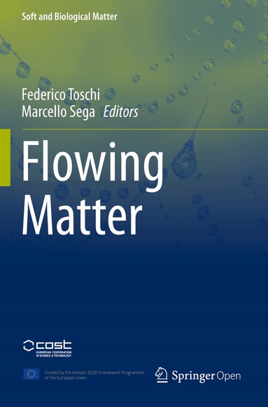 Federico Toschi, Marcello Sega - Flowing Matter, Häftad
