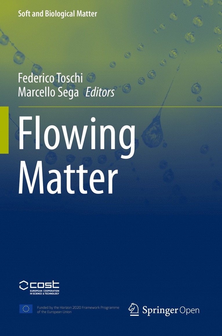 Federico Toschi, Marcello Sega - Flowing Matter, Häftad