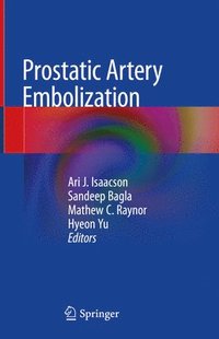 bokomslag Prostatic Artery Embolization