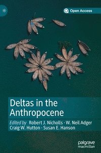 bokomslag Deltas in the Anthropocene