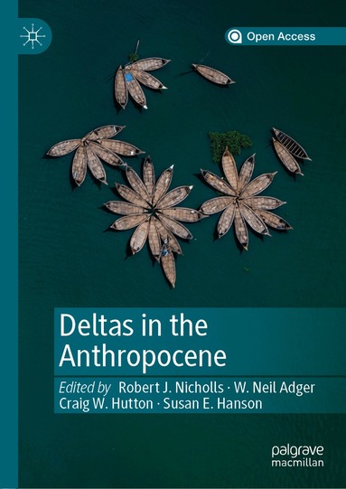 Robert J. Nicholls, W. Neil Adger, Craig W. Hutton, Susan E. Hanson - Deltas in the Anthropocene, Inbunden