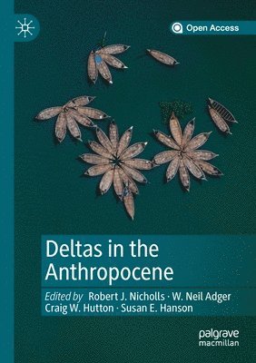 bokomslag Deltas in the Anthropocene