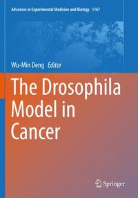 bokomslag The Drosophila Model in Cancer