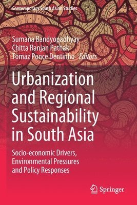 bokomslag Urbanization and Regional Sustainability in South Asia