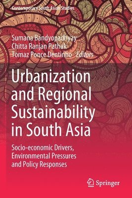 Urbanization and Regional Sustainability in South Asia 1