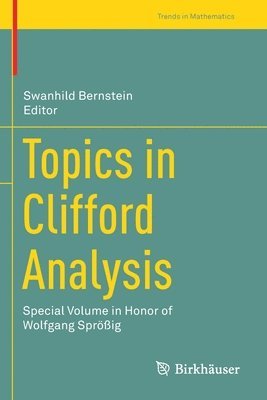 bokomslag Topics in Clifford Analysis