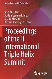 bokomslag Proceedings of the II International Triple Helix Summit