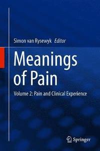 bokomslag Meanings of Pain