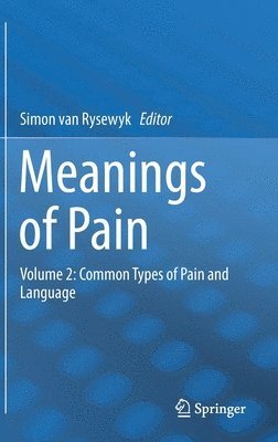 bokomslag Meanings of Pain