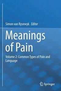 bokomslag Meanings of Pain