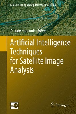 Artificial Intelligence Techniques for Satellite Image Analysis 1