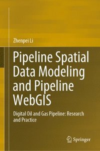 bokomslag Pipeline Spatial Data Modeling and Pipeline WebGIS