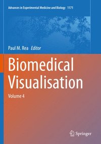 bokomslag Biomedical Visualisation