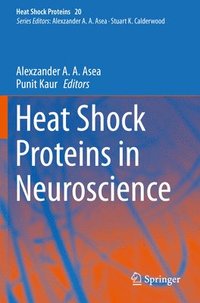 bokomslag Heat Shock Proteins in Neuroscience