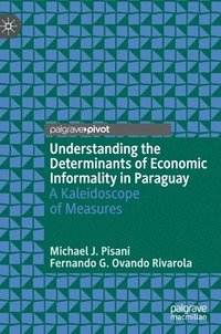 bokomslag Understanding the Determinants of Economic Informality in Paraguay