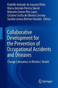 bokomslag Collaborative Development for the Prevention of Occupational Accidents and Diseases