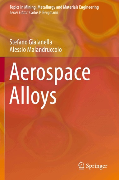 Stefano Gialanella, Alessio Malandruccolo - Aerospace Alloys, Häftad