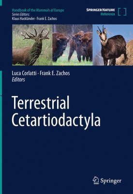 Terrestrial Cetartiodactyla 1