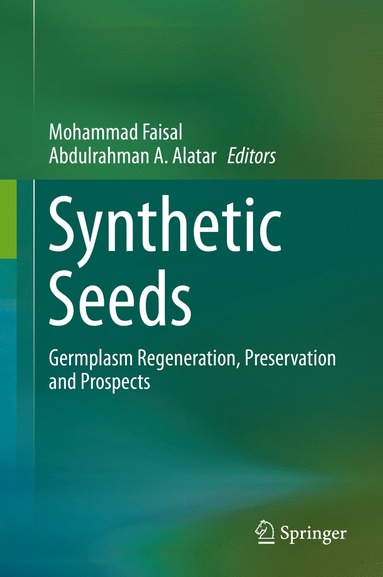 bokomslag Synthetic Seeds