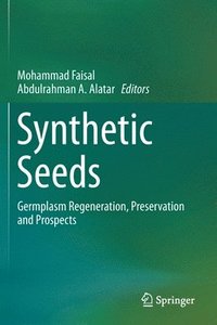 bokomslag Synthetic Seeds