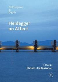 bokomslag Heidegger on Affect