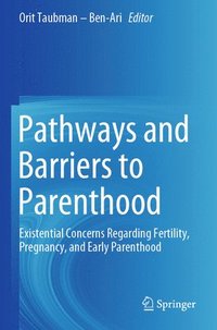 bokomslag Pathways and Barriers to Parenthood