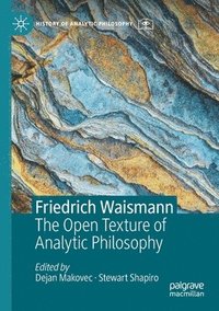 bokomslag Friedrich Waismann
