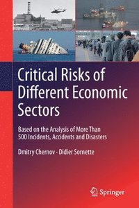 bokomslag Critical  Risks of Different Economic Sectors