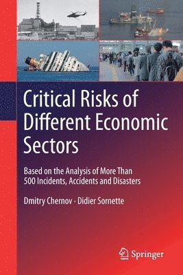 Critical  Risks of Different Economic Sectors 1