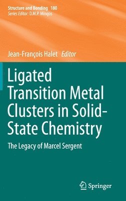 bokomslag Ligated Transition Metal Clusters in Solid-state Chemistry