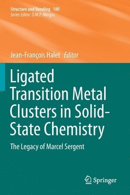 bokomslag Ligated Transition Metal Clusters in Solid-state Chemistry