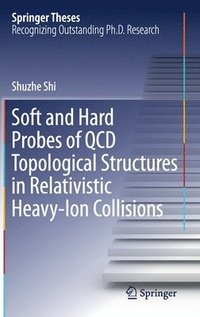 bokomslag Soft and Hard Probes of QCD Topological Structures in Relativistic Heavy-Ion Collisions