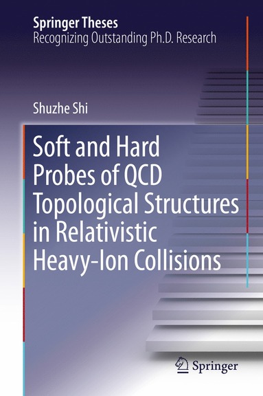 bokomslag Soft and Hard Probes of QCD Topological Structures in Relativistic Heavy-Ion Collisions