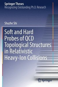 bokomslag Soft and Hard Probes of QCD Topological Structures in Relativistic Heavy-Ion Collisions