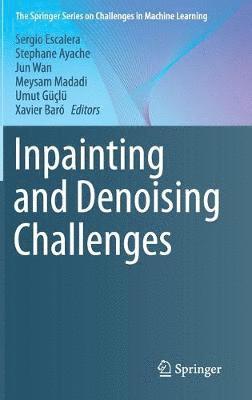 bokomslag Inpainting and Denoising Challenges