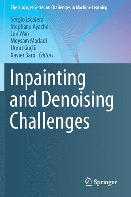 bokomslag Inpainting and Denoising Challenges