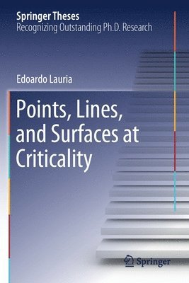 bokomslag Points, Lines, and Surfaces at Criticality